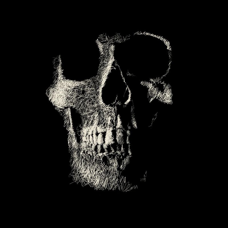 Skull
