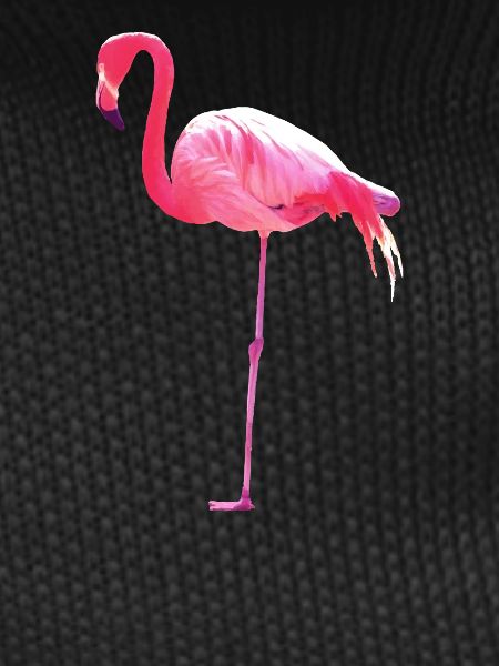Pink Flamingo