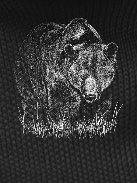 Bear