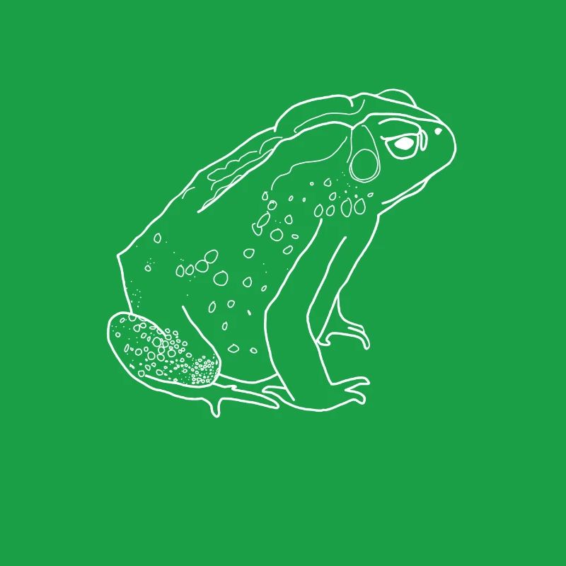 toad