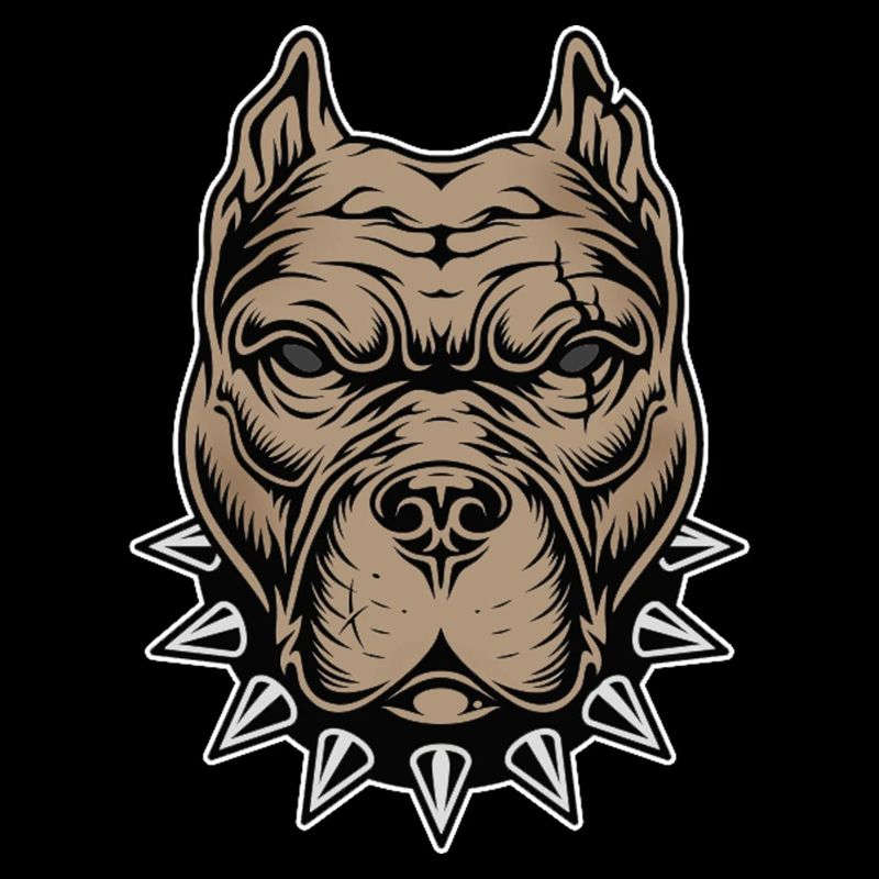 Aggressive dog