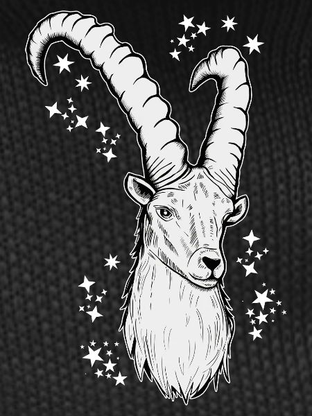 Steinbock Sternzeichen Astrologie