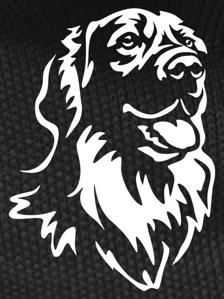 Hovawart Head "Black Edition"