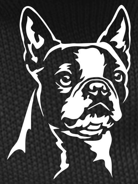 Boston Terrier Head "Black Edition"