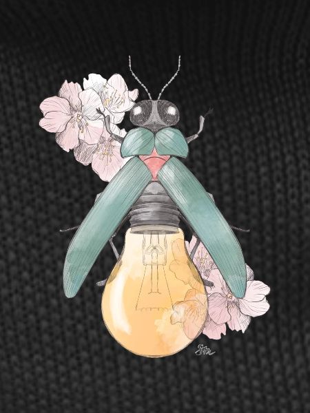 Pear | Flowering | Beetles