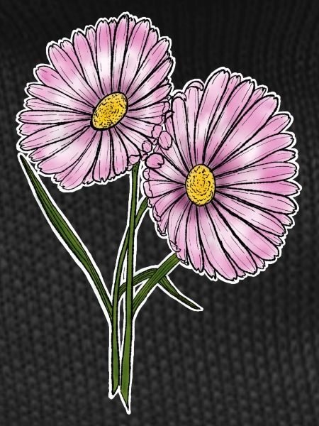 Daisy