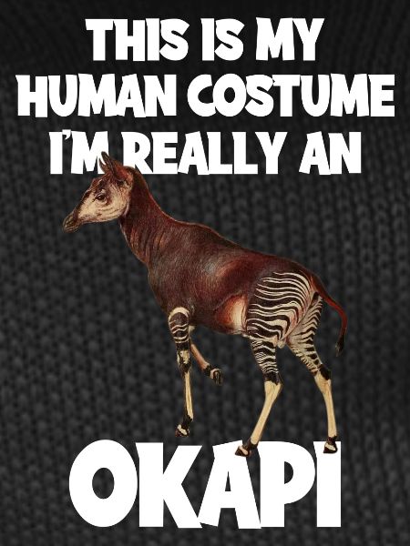 Okapi Zoo Expedition
