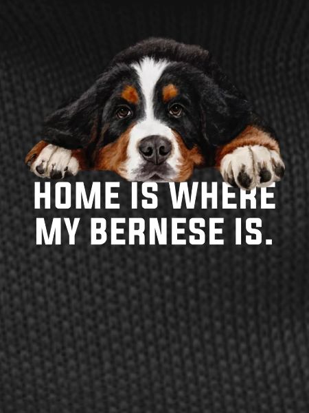 Bernese mountain dog