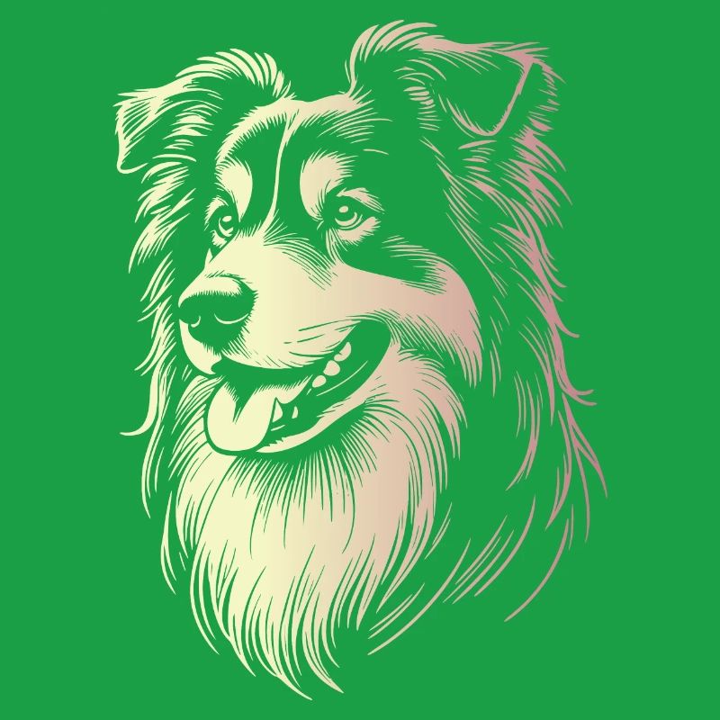 Australian Shepherd Traits 2 Gradient