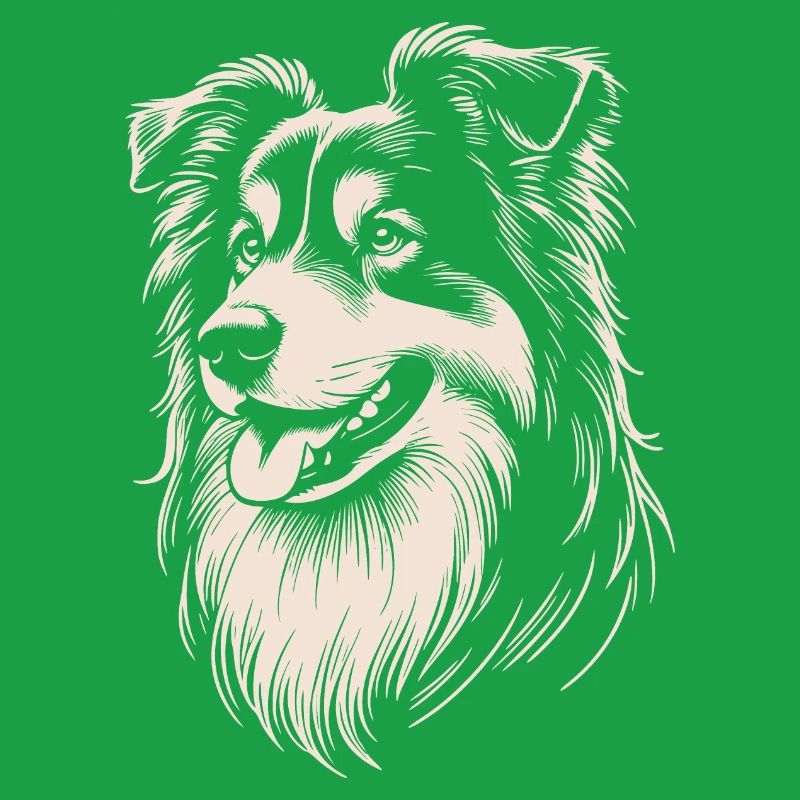 Australian Shepherd Features