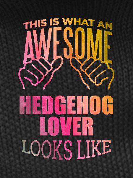 Hedgehog Hedgehog Hedgehog