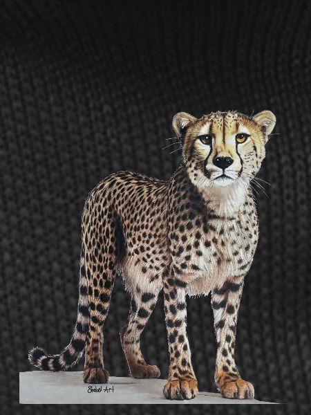 Cheetah - Gepard