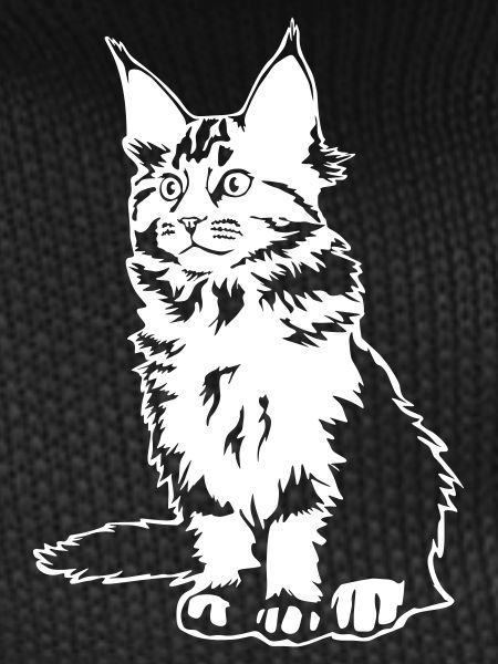 Maine coon cat "Black Edition"