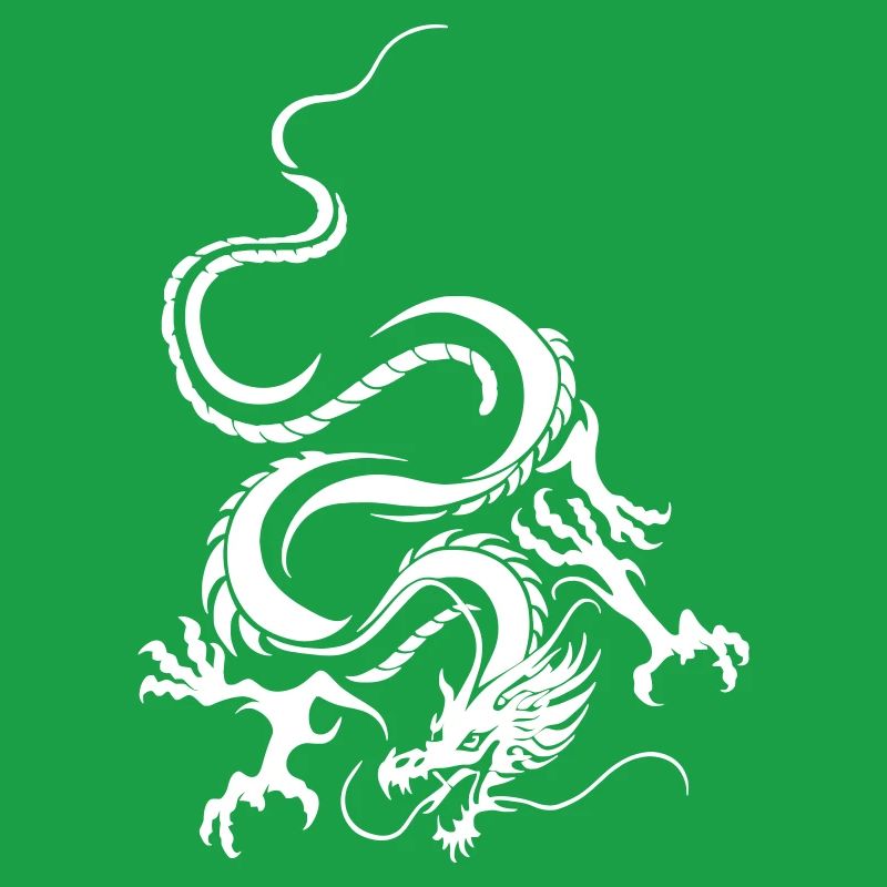 Dragon Blanc Art graphique complexe