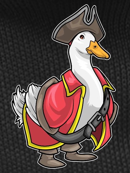 Duck Pirate Pirate Hat