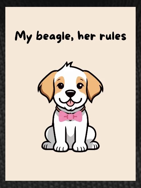 A-beagle-mio_-5-