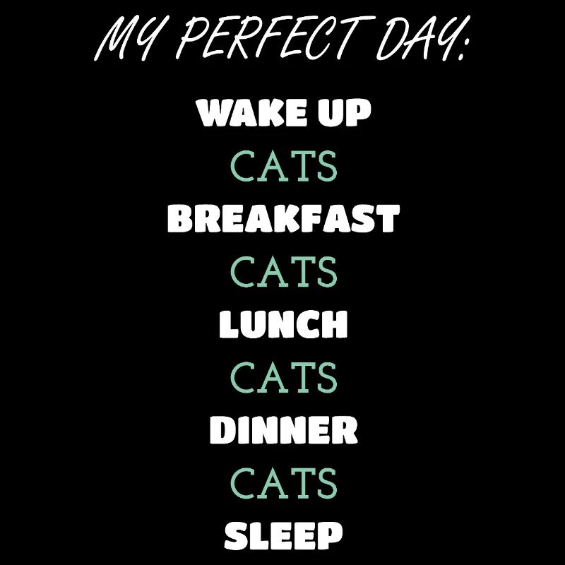 Whimsical Cat Daily Routine Design