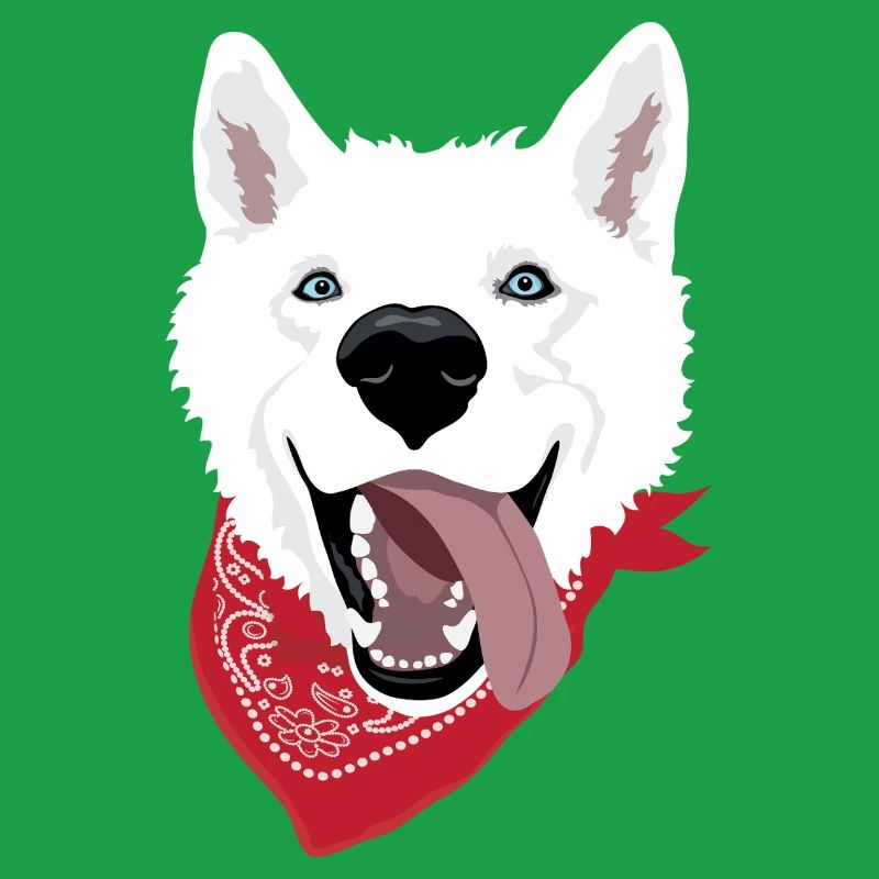 Husky blanc avec bandana et expression vive