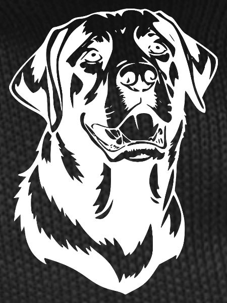Dog Dog Head T-shirt Gift