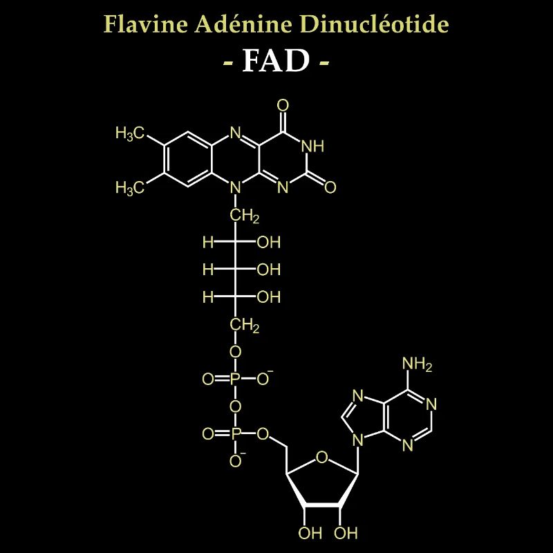 ADF Flavin-Adenin-Cofaktor