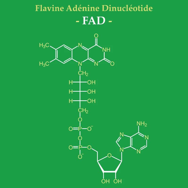 ADF Flavin Adenine Cofactor