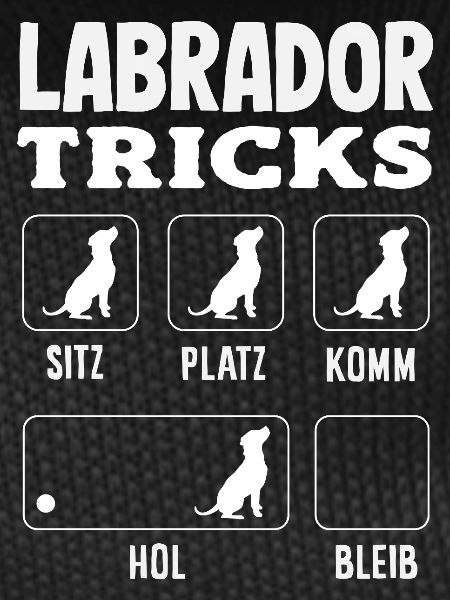Labrador Tricks