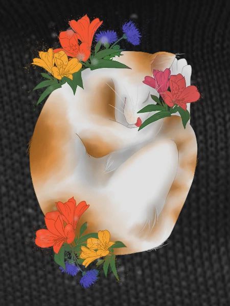 Cat and flowers