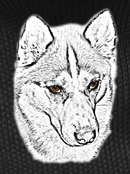 Wolfskopf Line Study