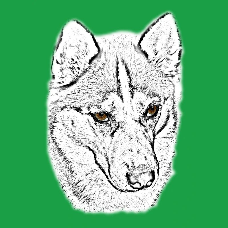 Wolfskopf Linienstudie