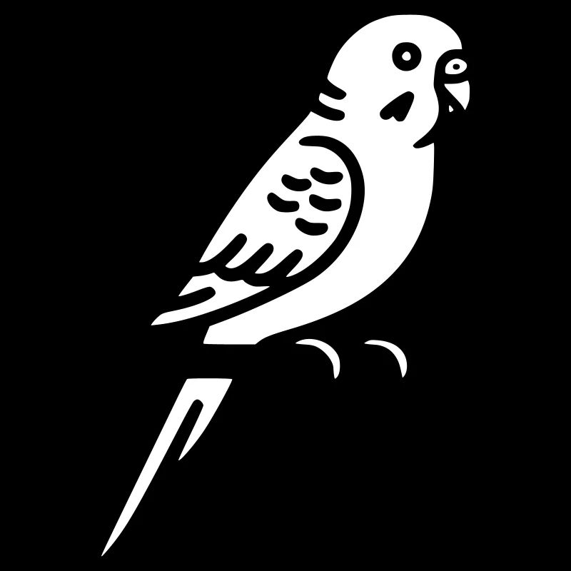 Budgie Bird Pet Vector