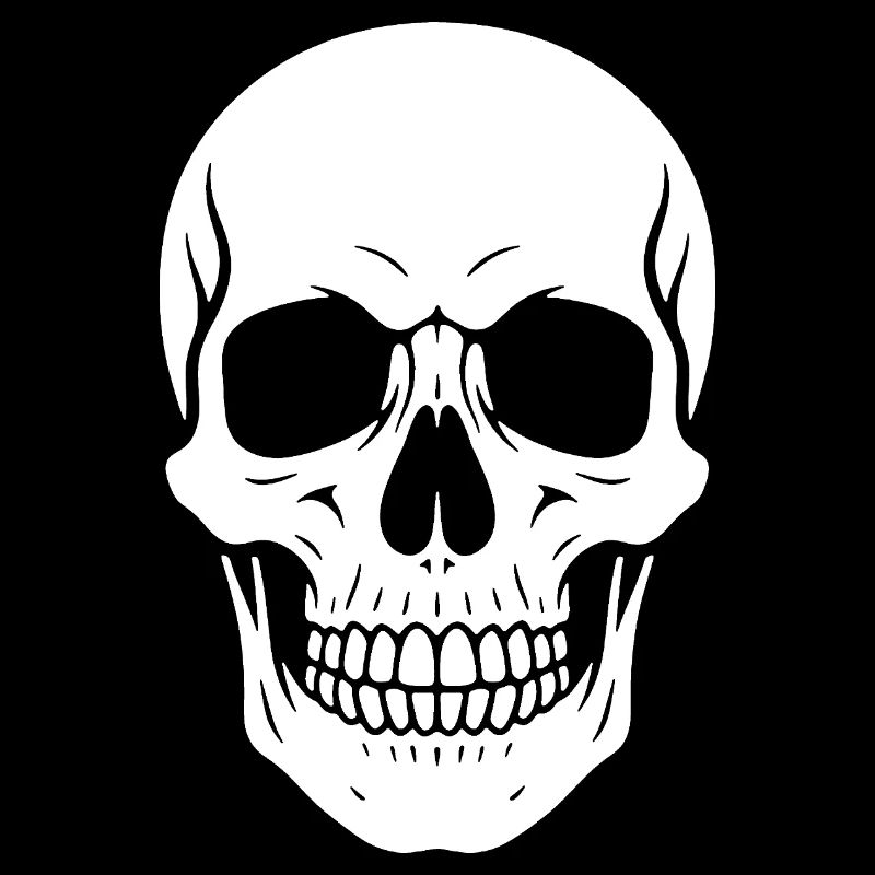 Skull Silhouette Graphic