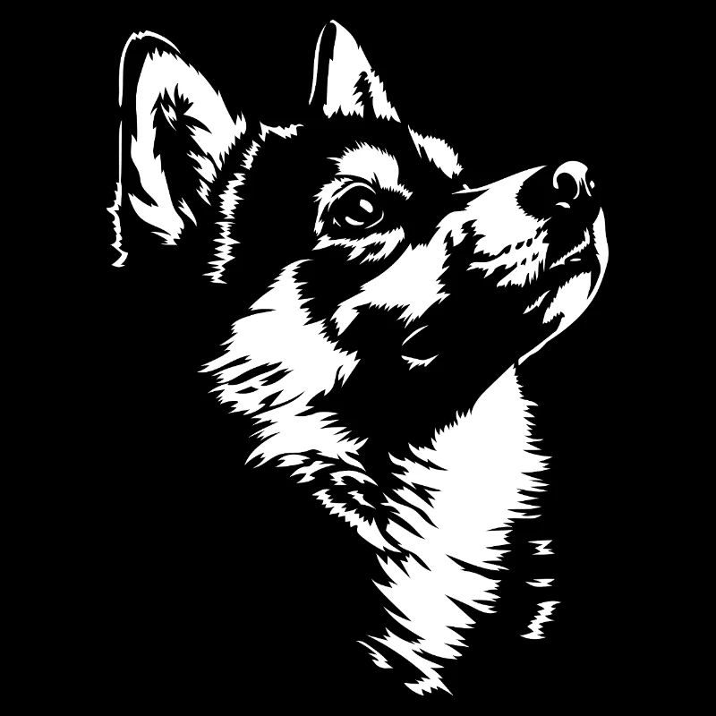 Alaskan Kai Klee Silhouette Hunde Hund Wilsigns