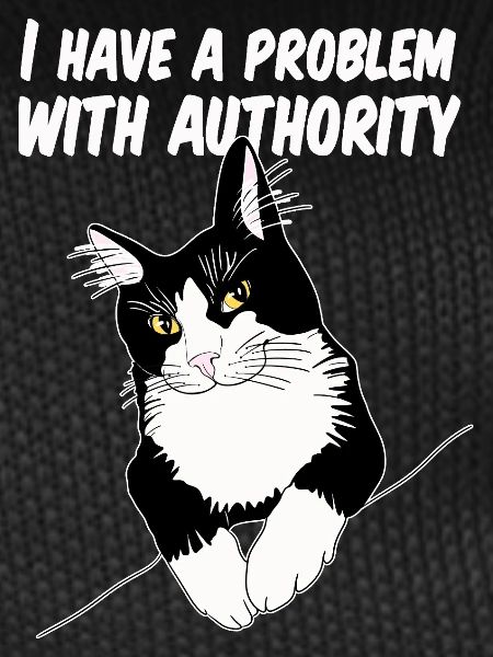 Cat Defies Authority