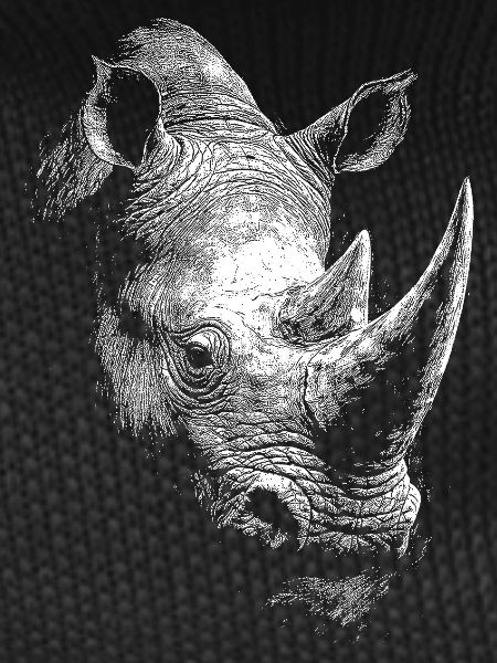 Rhinoceros