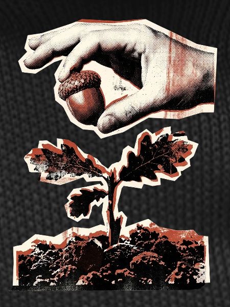 Plant more trees