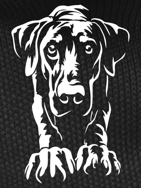 Doberman "Black Edition"
