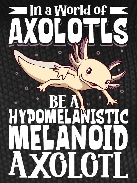 Be a Hypomelanistic melanoid Axolotl