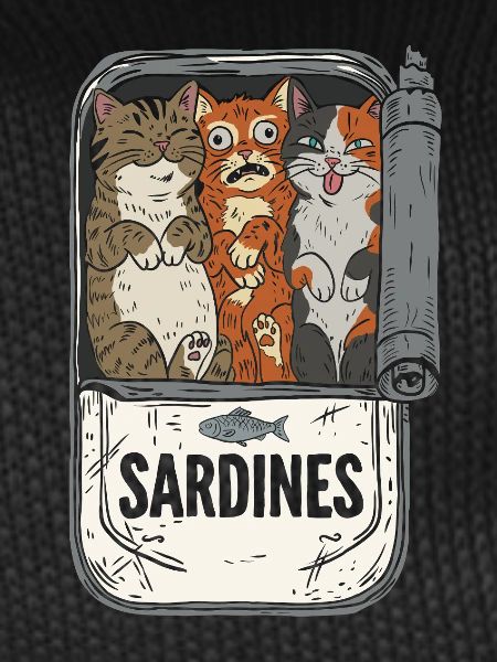 Kittens in a sardine can