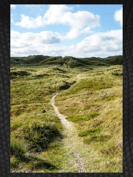 Dune Trail in Søndervig, Denmark