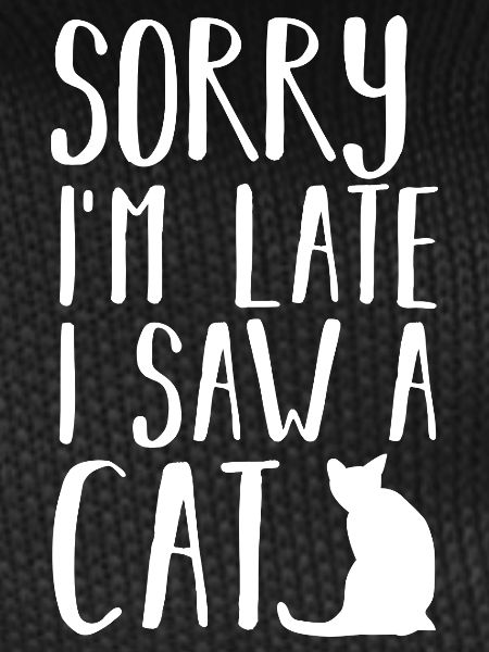 Cat Cats