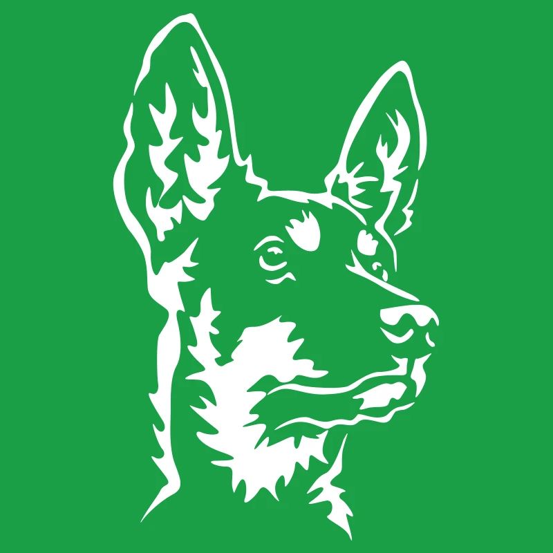Australian Kelpie head "Black Edition"