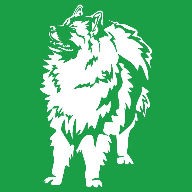 Wolfsspitz "Black Edition"