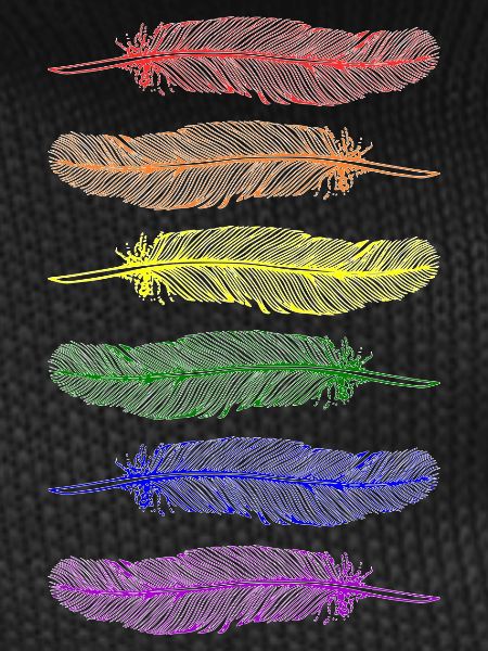 Feathers Rainbow