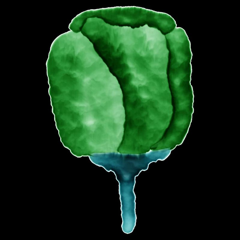Illustration de fleur verte abstraite