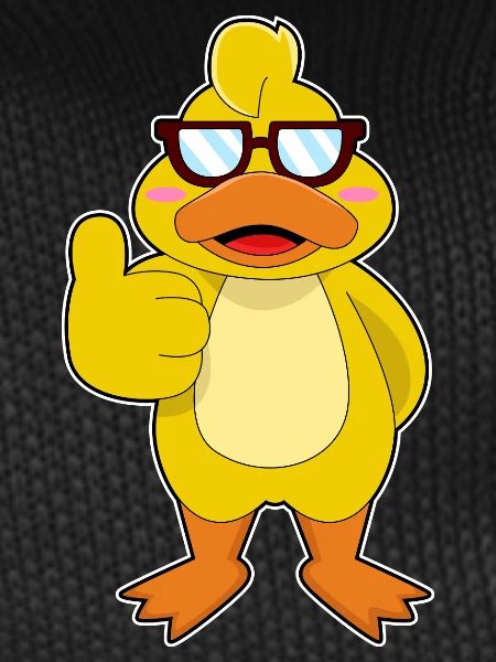Duck Sunglasses