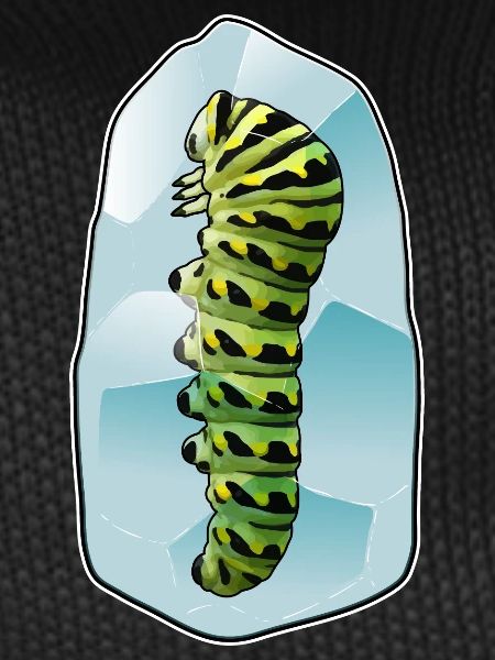 Caterpillar