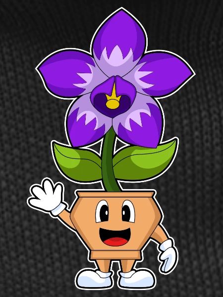 Funny Orchid