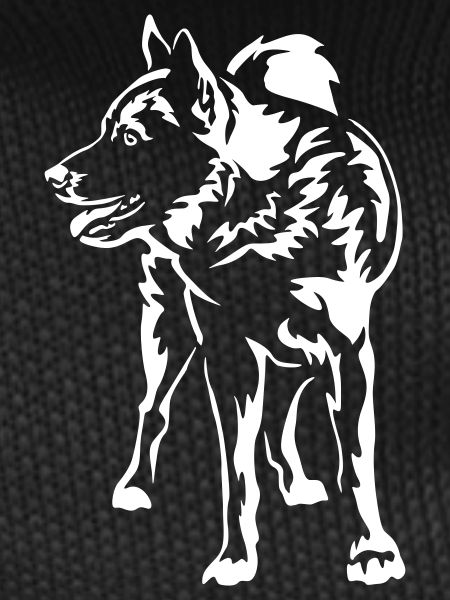 Norwegian Elkhound "Black Edition"