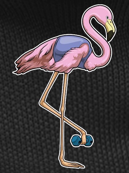 Flamingo Bodybuilder Dumbbell Bodybuilding
