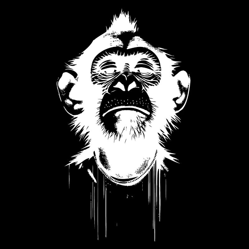 Monkey President